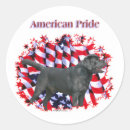 Search for black labrador stickers Retriever