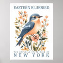 Search for bluebird watercolor posters Nature