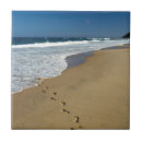 Search for copy space tiles Gallo images