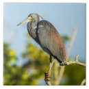 Search for bird tiles Heron