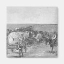 Search for settler magnets School