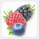 Search for wild berries stickers Fruit