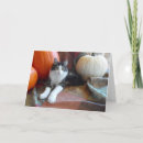 Search for cat thanksgiving cards Kitten