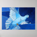 Search for white dove posters Pigeon