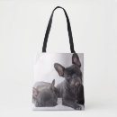 Search for purebred bags French bulldog