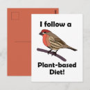 Search for finches postcards Nature