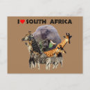 Search for africa postcards Giraffe