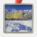 Search for autumn christmas tree decorations Mountain