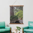 Search for arches photography Trees