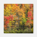 Search for north carolina magnets Pisgah national forest