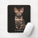 Search for young mousepads Pet