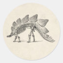 Search for stegosaurus stickers Skeleton
