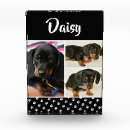 Search for dog memorial photo display Cute