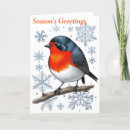 Search for red bird christmas cards Modern