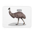 Search for kangaroo rectangular magnets Emu