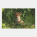 Search for baby rectangle stickers Photograph