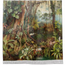 Search for scene shower curtains Old