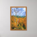 Search for hampshire photography Fall leaves