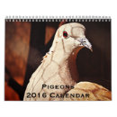 Search for common office supplies Birds