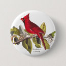 Search for red cardinal bird badges Redbird