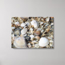 Search for shells art Ocean