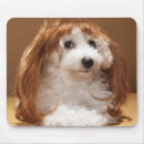 Search for long haired dog mousepads Animal