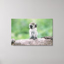 Search for primates art Cute