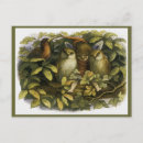 Search for doyle postcards Fairy