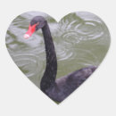 Search for black swan stickers Heart