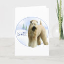 Search for wheaten terrier christmas cards Coated