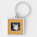 Search for were key rings I can has cheezburger
