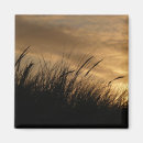 Search for sky magnets Scenery