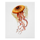 Search for vintage jellyfish posters Animal