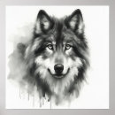 Search for timber wolves posters Wildlife