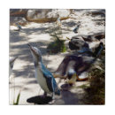 Search for penguin tiles Seabird
