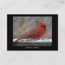 Search for northern business cards Bird