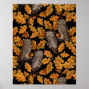 Search for black oak tree art Botanical