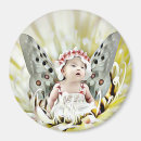 Search for wing magnets Fairy