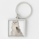 Search for one animal square key rings Cute