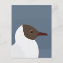 Search for grey headed postcards Bird