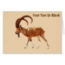 Search for nubian Goat
