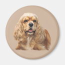 Search for cocker spaniel magnets Dog