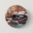 Search for nesting badges Wildlife