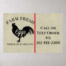 Search for egg farm posters Rustic