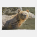 Search for grizzly bear tea towels Animals in the wild