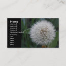 Search for seed business cards Nature