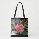 Search for bromeliad Flower