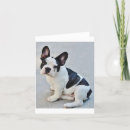Search for bulldog puppies cards Frenchie