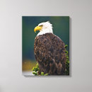 Search for american canvas prints Forest