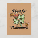 Search for pollinators postcards Plant